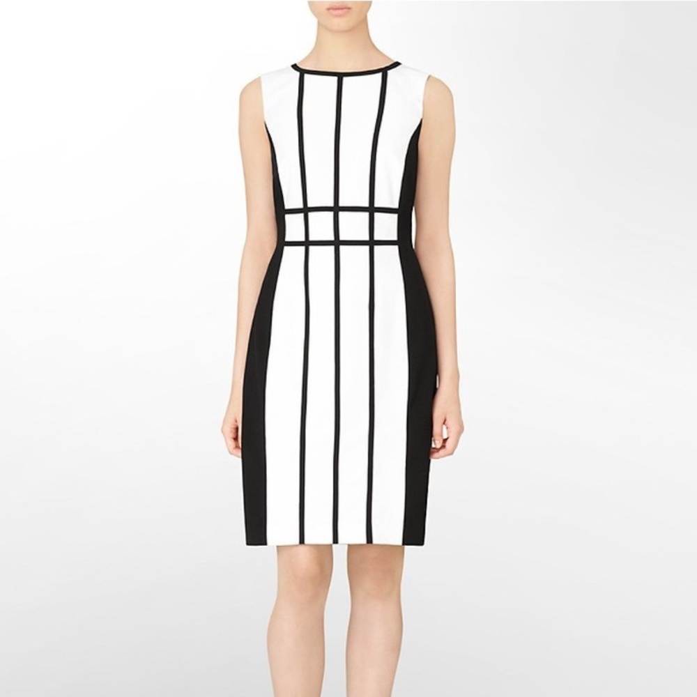 Calvin Klein Work Dress